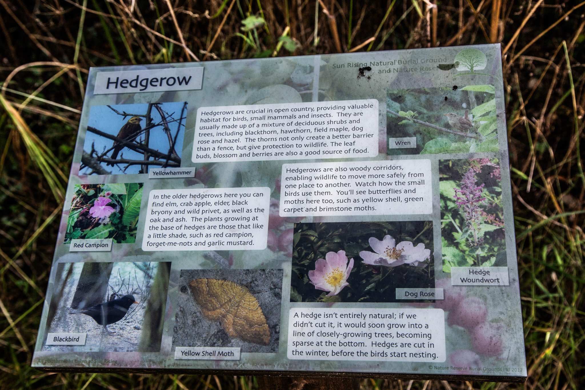 GRH_20230725_Karls_Funeral_0029_2048px