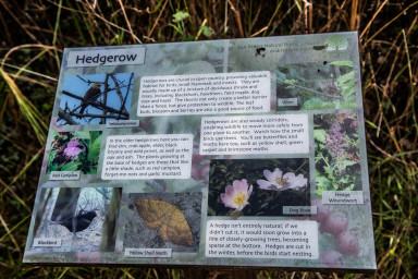 GRH_20230725_Karls_Funeral_0029_2048px