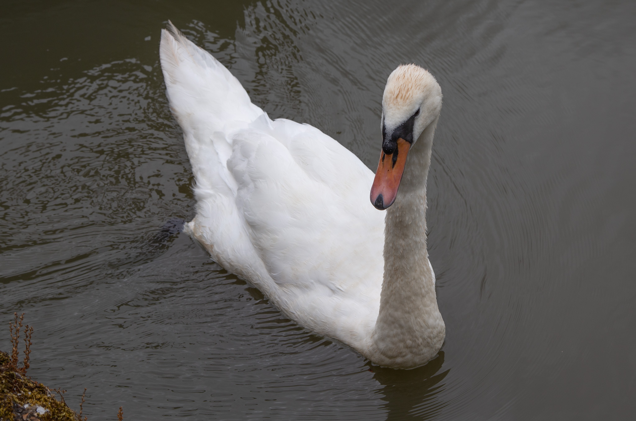 GRH_20230701_Leanne-Karl_Knot_0038