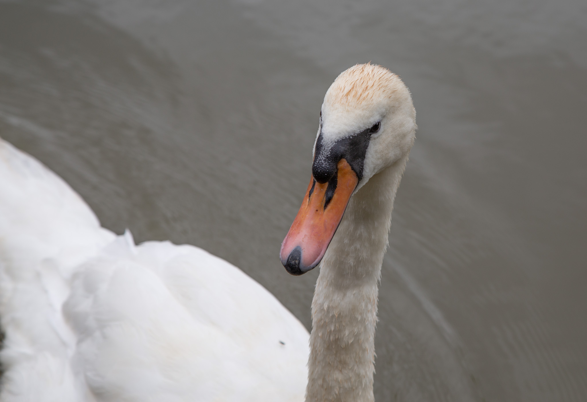 GRH_20230701_Leanne-Karl_Knot_0042