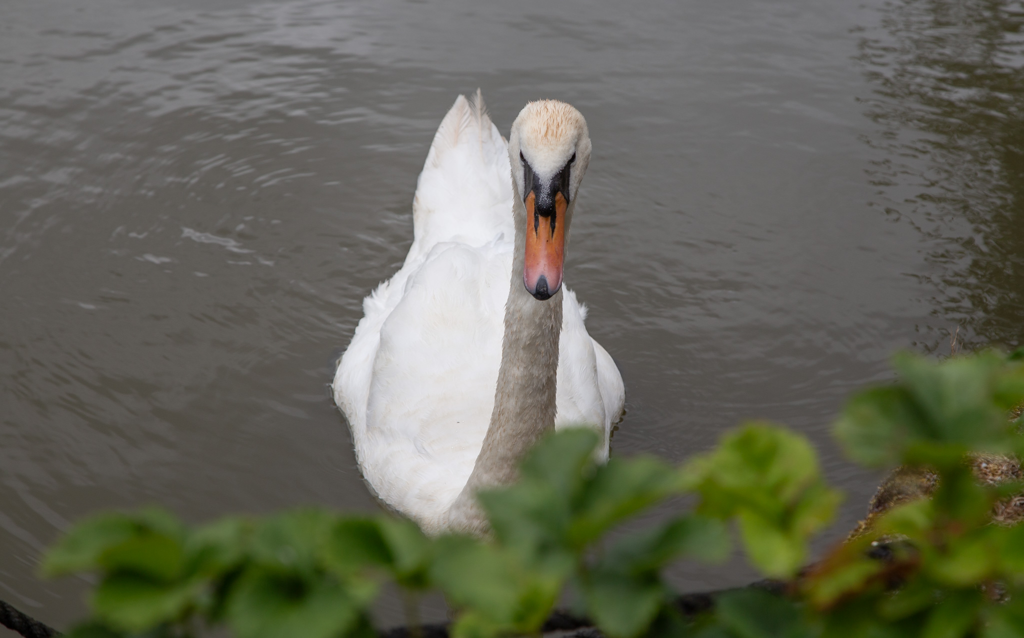 GRH_20230701_Leanne-Karl_Knot_0043