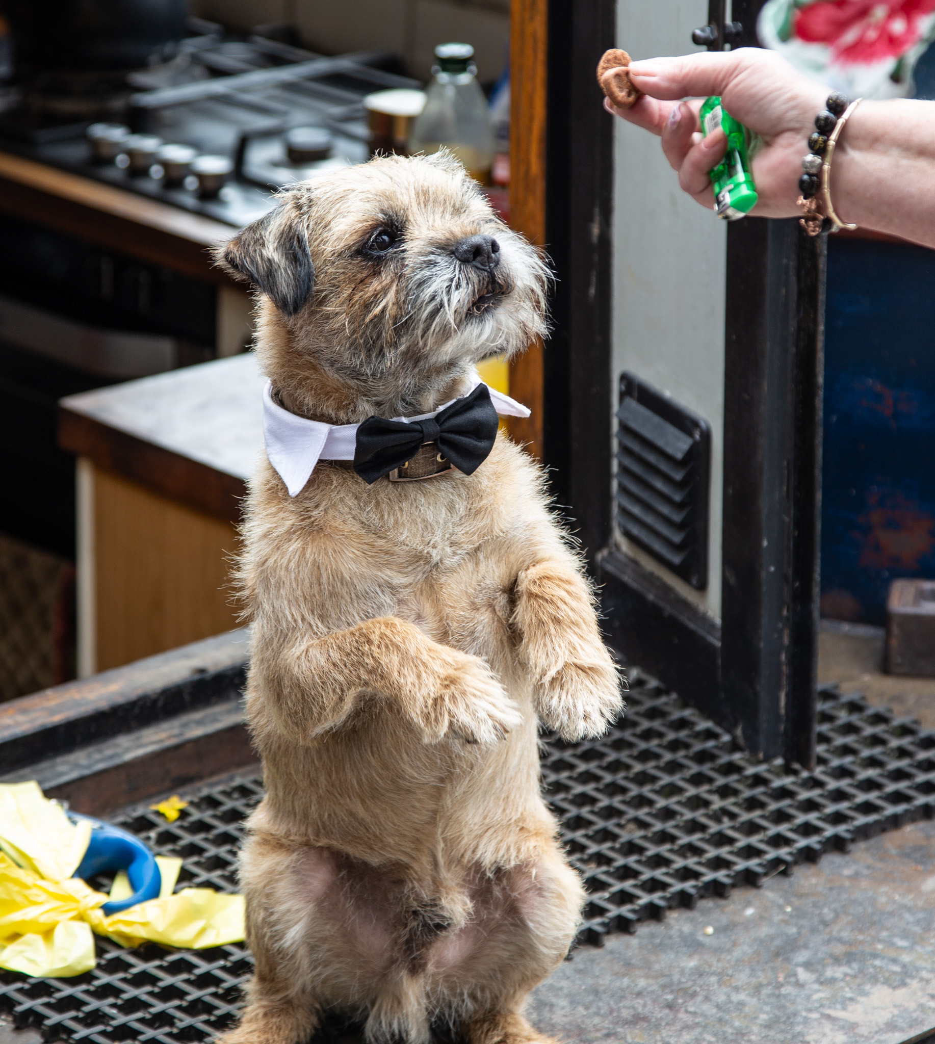 GRH_20230701_Leanne-Karl_Knot_0053