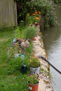 GRH_20230701_Leanne-Karl_Knot_0016