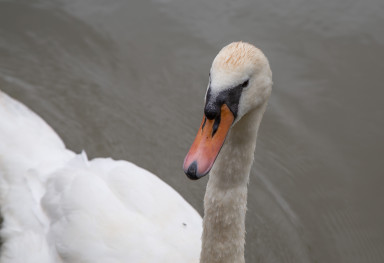 GRH_20230701_Leanne-Karl_Knot_0042