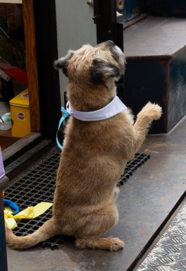 GRH_20230701_Leanne-Karl_Knot_0052