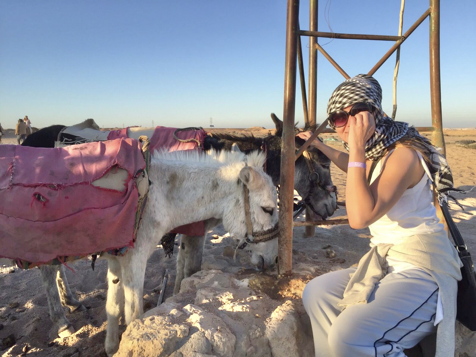 38946F92-A3D7-428E-A1B6-24115DCB73B1_1_201_a