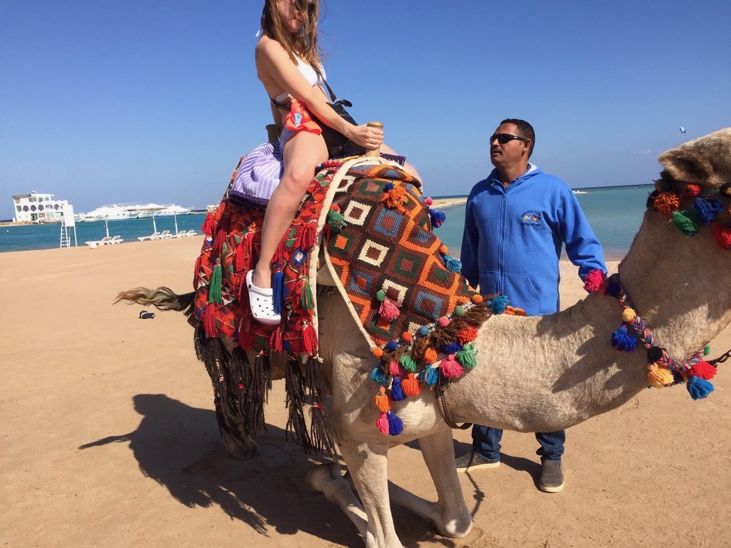 60B5BF9F-70CE-45A2-9999-55DCCF5C19AE_1_105_c