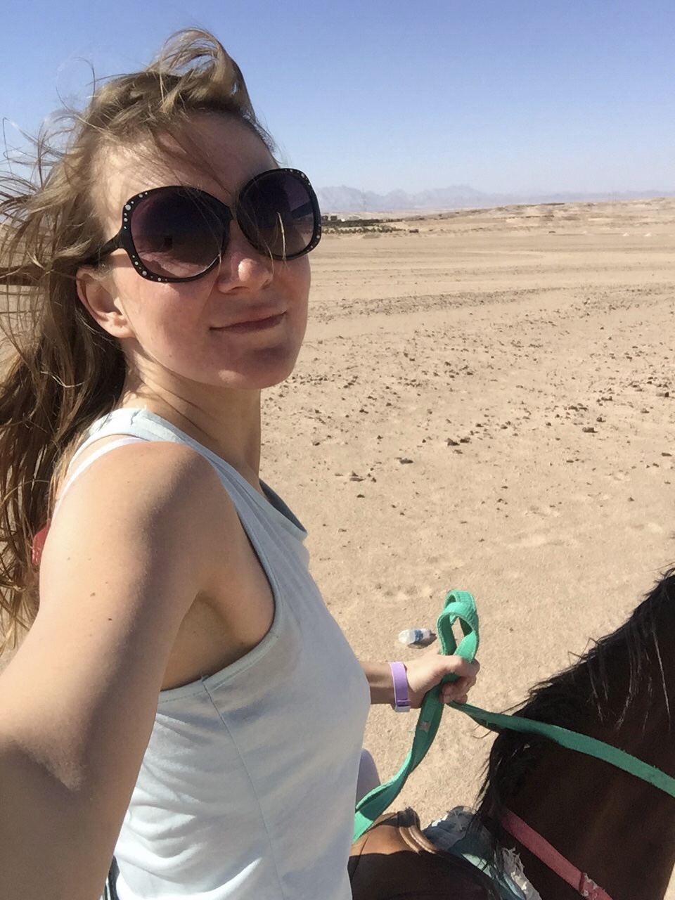 6529D48A-EA7F-4047-B28F-A1CDD209637D_1_201_a