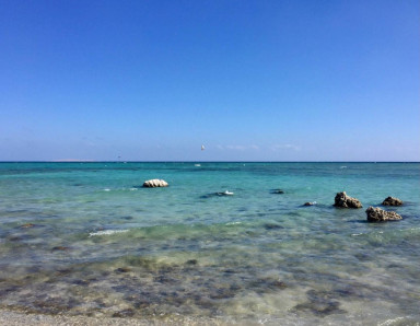 61D91887-D69E-4CF5-AAF1-9B7894CE7C7F_1_105_c