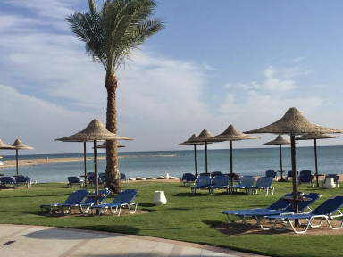 7431451D-FF16-44DA-AE88-E01E399B3D82_1_201_a