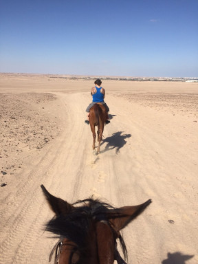 A2723C81-86BC-4274-A7C4-9999E7BEB1BE_1_105_c