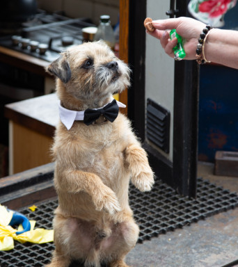 E9D42C69-E251-438E-AB47-57F8493EC30F