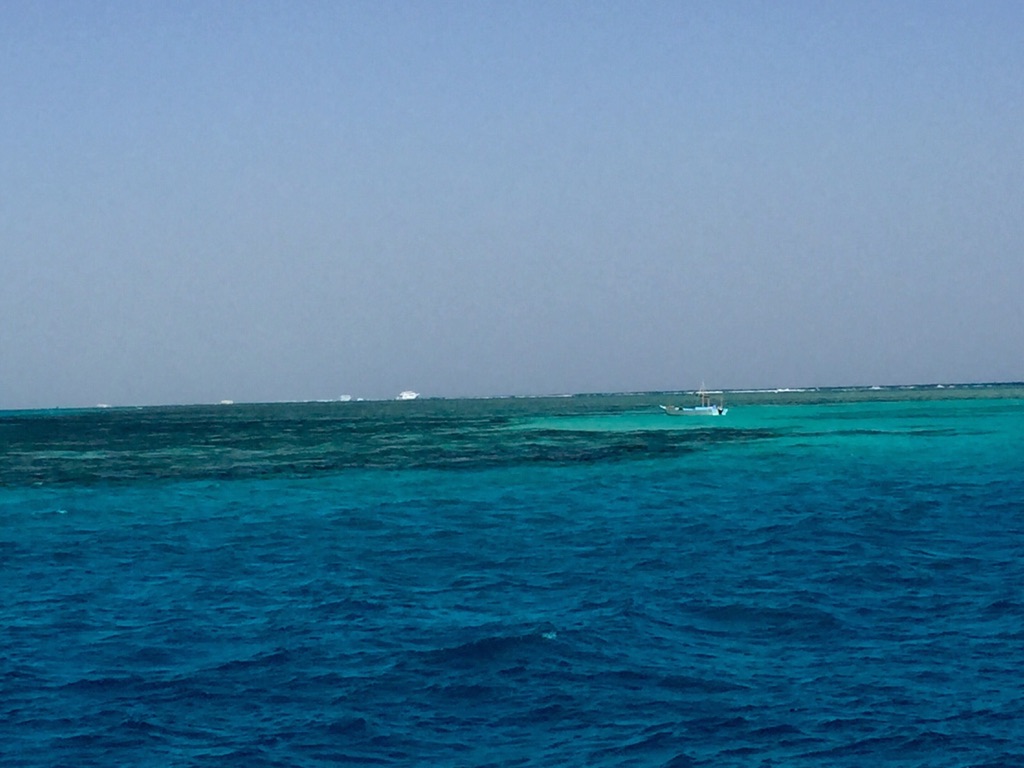 0990C1D0-7508-42F1-8E97-0DA99D6ECF08_1_105_c