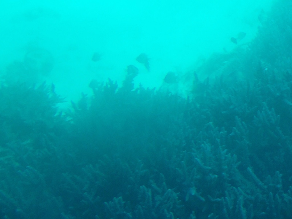 0B6DF22A-A36F-40AC-AD92-3081E725C914_1_105_c