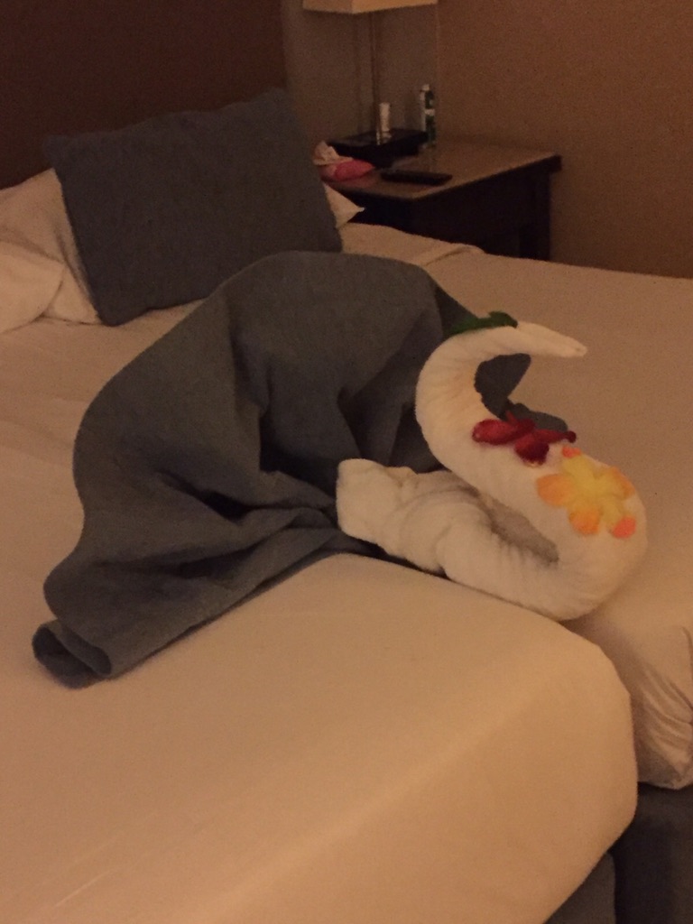 1F6C6948-783B-42A9-B4A7-A4D6CF810995_1_105_c