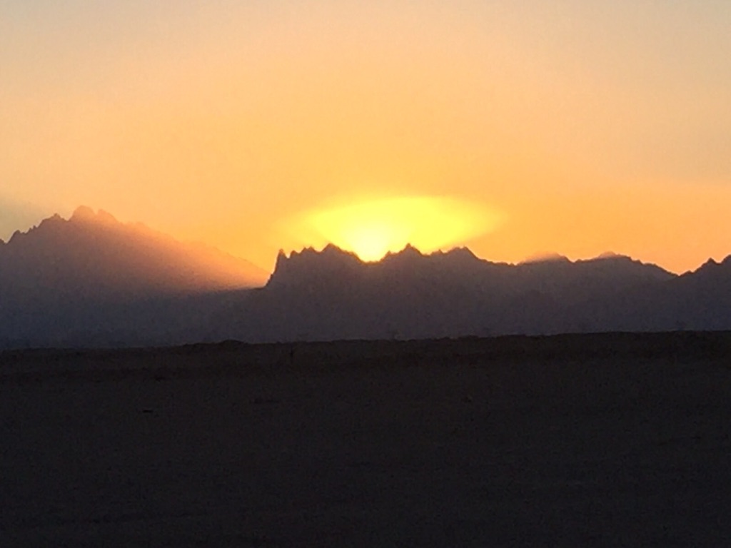 2F37FEAC-7366-4A0D-A68D-FF81D75A5C58_1_105_c