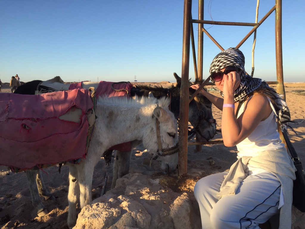 38946F92-A3D7-428E-A1B6-24115DCB73B1_1_105_c