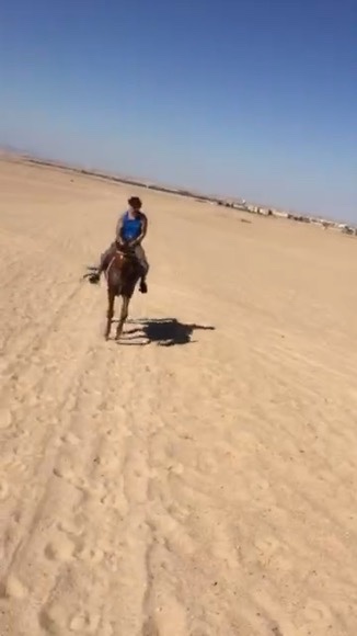 5D5AFA94-DFB5-44F1-83BC-A7C69EF261B8_4_5005_c