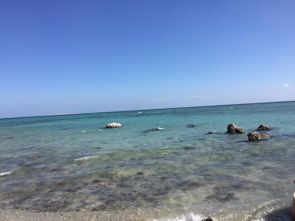 61D91887-D69E-4CF5-AAF1-9B7894CE7C7F_1_105_c