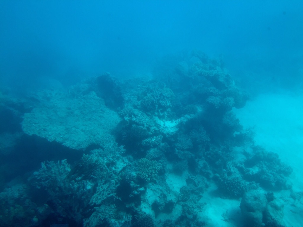 7228C31A-F29E-4B1B-B9C8-CFBF9E9D25DD_1_105_c