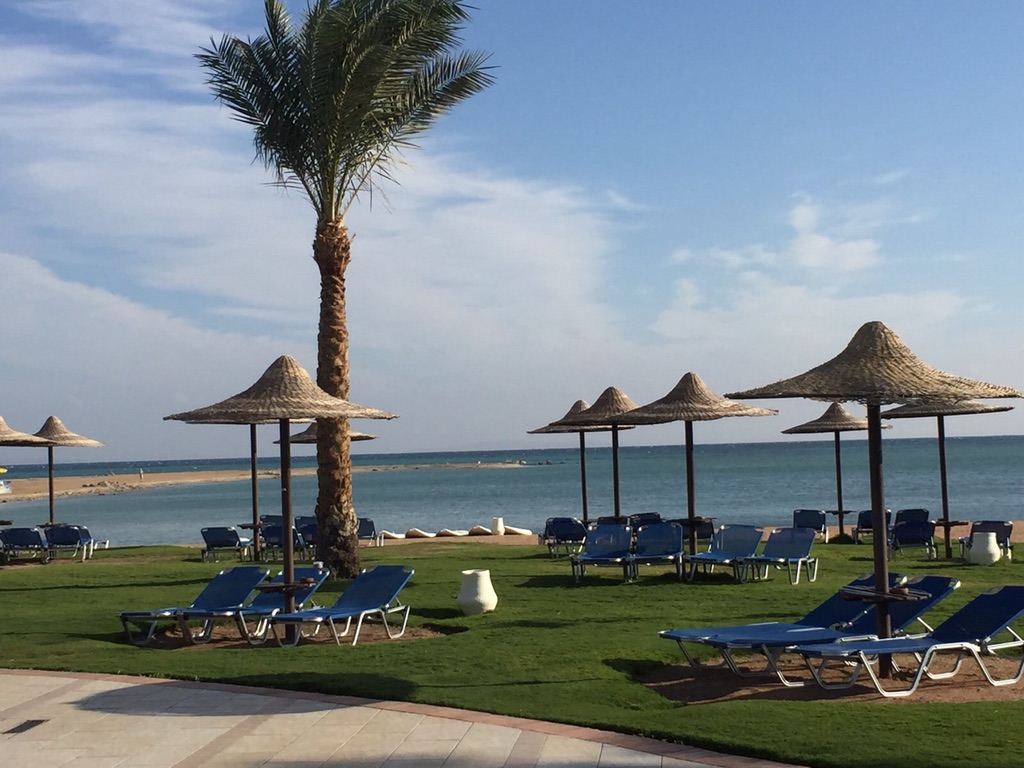 7431451D-FF16-44DA-AE88-E01E399B3D82_1_105_c