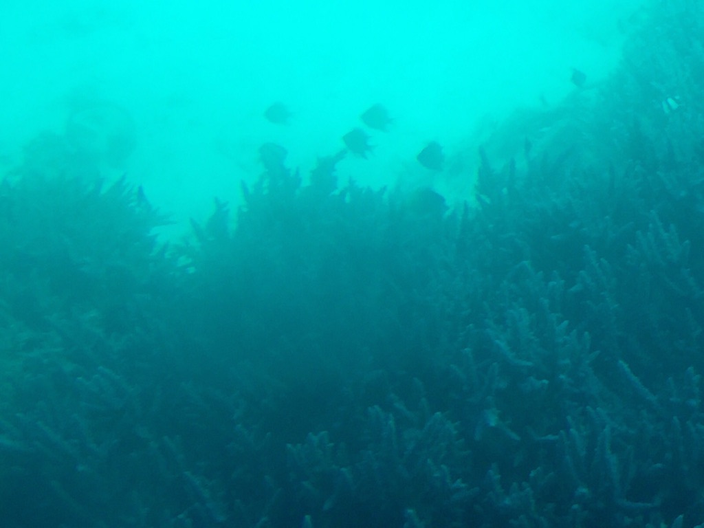 82F43E2F-23DF-4AB7-A09B-1044A724492E_1_105_c