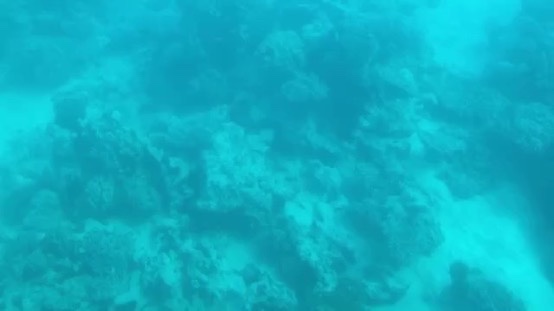 86221E25-5761-46C9-9A88-B94282F83DF8_4_5005_c