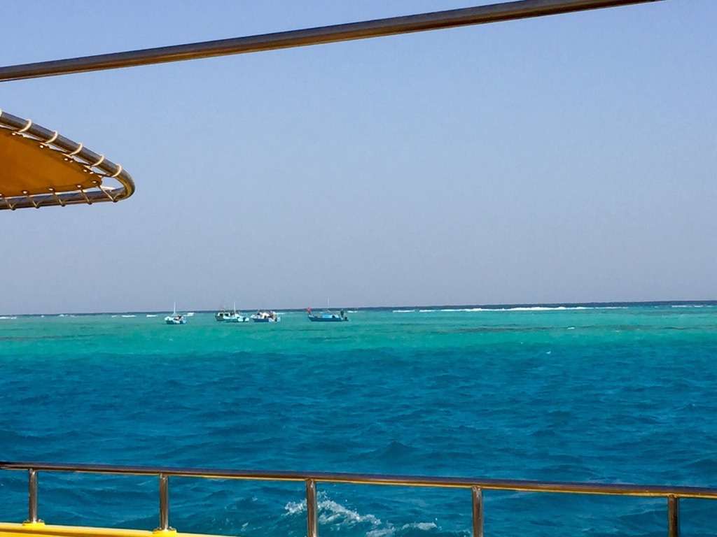 9E6C66A5-549B-4DE0-A709-C6517F9E1D21_1_105_c