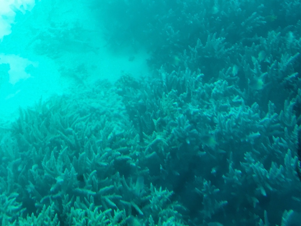 DE377CCB-CCA7-4800-9E0F-8D38DB715881_1_105_c