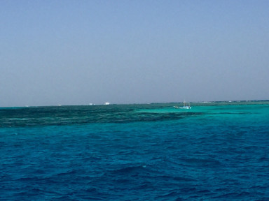 0990C1D0-7508-42F1-8E97-0DA99D6ECF08_1_105_c