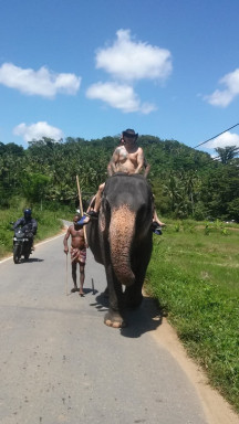 19856542-91B3-4F29-AC66-4521EC359F33_1_105_c