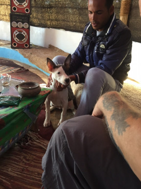 78816FFE-FF85-4A98-A488-A8574A77169E_1_105_c