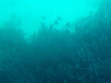 82F43E2F-23DF-4AB7-A09B-1044A724492E_1_105_c