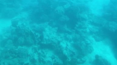 86221E25-5761-46C9-9A88-B94282F83DF8_4_5005_c