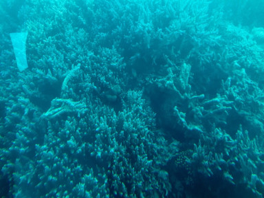 8CE48676-7377-47A7-BC78-E0FB10A5FCF8_1_105_c