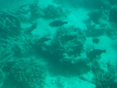 AEAC0B6D-1D70-4E5F-8E09-7361523E2A2A_1_105_c