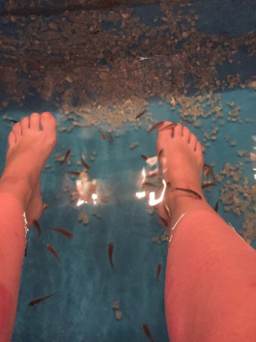 DD4D01BF-6AFF-4E40-BC15-52150704A21B_1_105_c