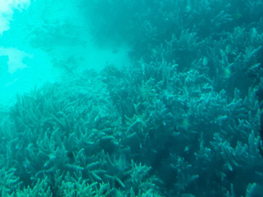 DE377CCB-CCA7-4800-9E0F-8D38DB715881_1_105_c