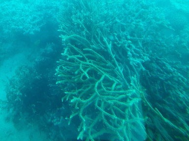 F90E579C-6580-4C78-A30A-39F9CA259C87_1_105_c