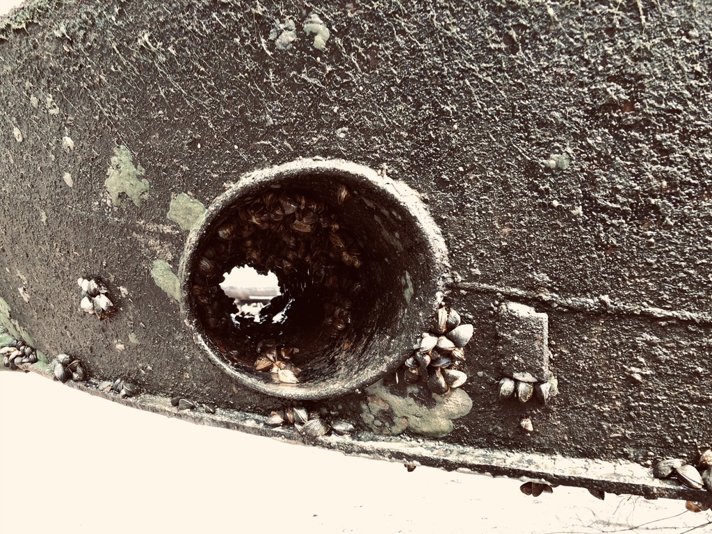 39CA45F1-0A0B-4066-AB19-CB821F3EBEB0_1_105_c