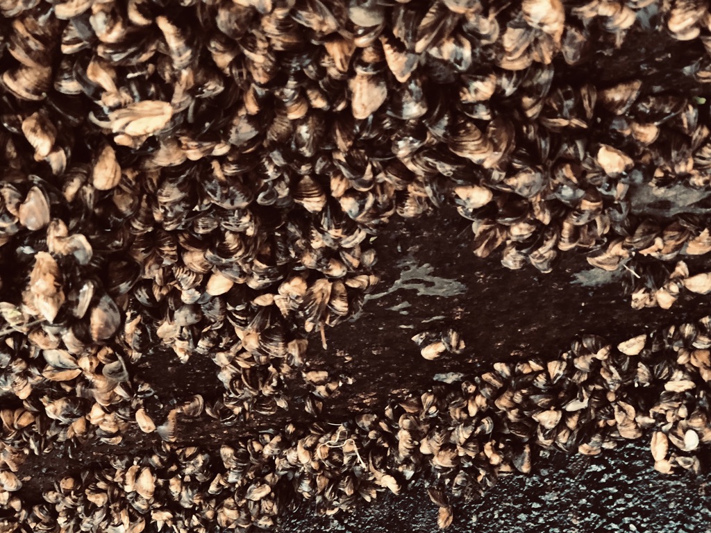 46379987-250D-42C1-B55F-FB3645F1A38B_1_105_c