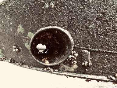 39CA45F1-0A0B-4066-AB19-CB821F3EBEB0_1_105_c